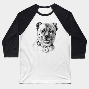 Do the Dog Baseball T-Shirt